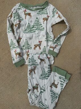 Kids Reindeer Holiday Pajama Set - Green Trim